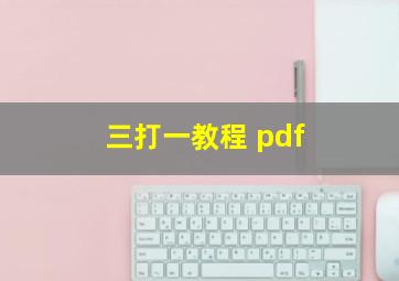 三打一教程 pdf